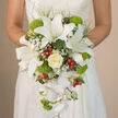 In this detailed bridal close-up, a bride's hands cradle a luxurious cascading bouquet that pools gracefully over the front of her off-white lace gown, the delicate pattern of the fabric forming a soft backdrop for every petal. The bouquet is anchored by bold white oriental lilies, their wide, satin-like petals opening with calm confidence, some brushed with fine reddish-brown freckles that draw the eye toward their textured stamens. Just above centre, a single creamy ivory rose swirls open, its velvety petals layered in a perfect spiral that reads as the emotional heart of the design. Around it, tiny white gypsophila-baby's breath-drifts through the arrangement like a fine floral mist, easing the transitions between blooms. Flowing downwards in the classic teardrop silhouette, white Phalaenopsis orchids extend the bouquet, their arching stems and elegant flowers creating a sense of gentle motion, as if the bouquet is quietly moving with each step down the aisle. Tufts of lime-green Green Trick dianthus or pompon chrysanthemums nestle between the white blooms, their rounded, fuzzy surfaces catching the light and injecting a playful, modern edge without disturbing the overall softness. Here and there, small clusters of red hypericum berries glint like tiny beads, enlivening the palette with warm, upbeat touches of colour. Fine, trailing greenery and polished deep-green leaves thread through the whole, adding structure and a lush garden feel. This is the sort of thoughtfully balanced wedding bouquet you might see carried at a Golders Green ceremony near Hampstead Garden Suburb or along the leafy streets off Golders Green Road, composed with the practiced eye of an experienced local florist.