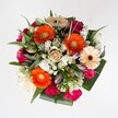 Radiating joy and vibrant energy under a gentle Golders Green sky, this bouquet captures the essence of celebration with every petal and hue. Bold orange Gerbera daisies dominate the arrangement, their sun-kissed centers beaming with warmth, echoing community spirit found in Golders Green's parks and bustling lanes. Creamy peach Gerberas, softened by deep burgundy centers, provide a tranquil counterpart-like a quiet morning along Hoop Lane. Nestled among them, clusters of magenta and blush pink roses infuse the bouquet with romance and heartfelt intent, their petals unfolding beside playful, hot pink carnations whose ruffles add a cheerful, textured touch. White lily buds stand proud, hinting at fresh beginnings, while tiny white spray chrysanthemums glimmer between the larger blooms, infusing the composition with an airy lightness that recalls early spring blossoms across Golders Hill Park. The arrangement is ringed by glossy dark foliage and feathery, eucalyptus-inspired sprigs, grounding the bouquet with a cool, fresh fragrance and sculptural elegance. Every element has been thoughtfully placed by Golders Green's local flower artists, celebrating milestone birthdays, heartfelt thank-yous, and uplifting moments around NW11. This luxurious floral medley is more than a gift; it is an experience-lifting spirits, inviting smiles, and embodying the very heart of local beauty and skilled craftsmanship.