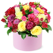 From a sunlit studio near Golders Green, a vibrant, lush bouquet of multi-colored roses spills joyfully from a round light-pink hat box. The arrangement is densely packed, forming a generous dome that seems to float above the box, like a pocket of colour you could hold in your hands. The palette reads like a celebrant's dream: deep crimson reds, bright sunny yellows, lively fuchsias, soft pastel pinks, rich magentas, lavender-toned purples, and creamy whites, each bloom catching the light and inviting a closer look. Interspersed among them are roses of various sizes; some are fully open, petals unfurling in graceful spirals, while spray roses and miniature buds add texture, rhythm, and a sense of movement through the arrangement. Dark green, glossy leaves tuck between the blossoms, their sheen providing a crisp foil to the velvety petals and intensifying the bouquet's freshness. The pastel pink container has a smooth, matte finish that softens the intense colour story and gives the whole piece a contemporary elegance, perfectly suited to modern homes and gift-giving occasions. Against a pure white background, the bouquet stands out as a statement of abundance and care, a heartfelt gesture ready for delivery to Golders Green addresses-from Temple Fortune to Cricklewood-whether for birthdays, anniversaries, Mother's Day, or Valentine's Day. Crafted by Flowers Golders Green, this rose box promises not just beauty but the reassuring scent of rose and a feeling of warmth that lingers long after the flowers are gone.