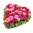 Seen from a slightly elevated, overhead angle against a pure white background, this heart-shaped floral tribute is densely packed with garden roses that read like a painter's palette of feeling. Deep crimson and burgundy roses nestle beside softer blush and pastel pinks, while vivid fuchsia and purplish-magenta blooms ripple through the composition, their velvety petals either tightly furled or gently unfurling to reveal layered texture. The heart's silhouette is crisply defined by a frill of fine, deep green foliage - a lush, almost moss-like border that both frames and cushions the floral core. Tiny dark red or burgundy berry accents are tucked into the greenery at irregular intervals, catching the light and adding discreet points of depth that prevent the design from feeling flat. The arrangement is brightly and evenly lit, which sharpens the contrast between the saturated flower tones and the immaculate white backdrop, allowing each petal edge, curl, and shadow to be read clearly. There is an implied scent in the image - warm, classic rose perfume - and a sense of careful handcraft: every bloom appears selected for size, colour, and placement so the heart feels abundant and balanced. The overall mood is quietly intense - suitable for declarations of love, anniversary celebrations, or as a comforting tribute at a funeral or memorial. As a local florist would note, this piece carries both the visual language of romance and the solemn grace of remembrance, rendered with technical care and tactile richness that invites touch and quiet reflection.