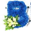 A large floral tribute in the distinct shape of a capital B dominates this image, designed with the quiet formality often requested for funerals in the Golders Green area. The body of the letter is densely filled with royal blue chrysanthemums, each flower carefully placed so their textured, ruffled petals overlap and form a continuous, plush surface. The colour is an intense, regal blue, with gentle variations in shade that add a sense of depth, as though the letter were carved from blue velvet. A crisp, pleated white satin ribbon surrounds the entire outline of the B and follows its internal curves, lending clear definition and a refined finish that glows softly against the plain white background.
Nestled into the lower left side of the letter is a smaller, complementary floral cluster that adds softness and sentiment. Here, creamy white roses-some tightly closed, others beginning to open and reveal their swirling centres-are arranged closely together, giving the impression of tenderness and care. Between them, sprays of small white chrysanthemums, reminiscent of tiny daisies, introduce lightness and a touch of delicate texture. This cluster is framed by a generous collar of greenery: arching fern fronds, glossy dark leaves, and lighter, slightly variegated foliage provide contrast and a natural, garden-like feel. The combination of cool blue, clean white, and fresh green makes the tribute feel composed and serene. It reads as a personalised initial that could represent a first name or surname, an elegant way to say a final goodbye at a funeral, memorial service, or private remembrance gathering in and around Golders Green.