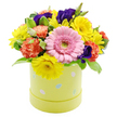 This festive Easter hatbox arrangement appears as a compact burst of spring colour, much like stepping out onto a sunny side street off Golders Green Road after a long winter. A large, soft pink gerbera daisy sits proudly at the centre-front, its neatly ordered petals framing a light green eye that suggests freshness and calm. Around it, lively yellow chrysanthemums and daisy-like blooms fan out in small, radiant circles, each flower adding to the overall sense of brightness, reminiscent of sunlight catching the tops of trees in nearby Golders Hill Park. Coral-orange carnations, with their intricate, frilly edges and denser texture, create gentle waves of warmth within the design, giving the dome shape extra dimension and softness. Threaded between these are rich violet-purple lisianthus blossoms, whose smooth, folded petals and slightly deeper tones introduce elegance and a hint of drama, like areas of shade in a garden border. The entire bouquet is framed by lush greenery, some leaves displaying subtle cream variegation along the edges, bringing movement and a natural rhythm to the piece. All of the flowers are arranged in a pastel yellow-green cylindrical hatbox, smooth to the eye, and playfully adorned with tiny pastel Easter eggs in pink, blue, and white, some lightly decorated with dots or stripes that evoke children's crafts and neighbourhood celebrations. Set against a clean white backdrop, the colours and shapes stand out clearly, making this arrangement feel like an uplifting seasonal gift, perfect for brightening a dining table, hallway, or office in Golders Green during the Easter period.