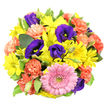 Captured from directly above on a spotless white background, this mixed flower bouquet appears as a lush, colourful circle, brimming with personality and charm. At the lower centre sits a standout pink gerbera daisy, its broad, velvety petals layered in a tidy ring around a textured green-gold centre that gives the flower an almost playful expression. Encircling it, bright yellow chrysanthemum daisies radiate like beams of sunlight, each bloom filled with fine, slender petals and vivid, lime-tinted hearts that evoke the carefree brightness of a summer afternoon in Golders Green. Tucked among the yellow, rich indigo-purple lisianthus blossoms bring drama and depth, some blossoms fully opened with delicate stamens visible, others in softly tapered buds that hint at blooms still to come. Coral-orange carnations dance through the arrangement, their ruffled, cloudlike petals adding both volume and a gentle, festive warmth, as if confetti had been transformed into flowers. Sprigs of greenery weave between the blossoms, with glossy deep-green leaves and a few variegated ones that show lighter, creamy margins, subtly cooling the palette and framing the brighter tones. The lighting is bright yet diffused, eliminating harsh shadows and allowing the colours to appear true and fresh, as though the bouquet has just been finished in a local studio and is ready for same-day delivery to a home near Golders Hill Park or down one of the quiet residential streets off Temple Fortune. This arrangement feels exuberant and uplifting, perfect for new beginnings, birthdays, or simply sending a heartfelt burst of colour and optimism to someone special.