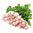 A horizontal bouquet of roughly two dozen blush pink roses is shown resting on a stark white background, as if laid with care on a table in a Golders Green flower studio. The roses are tightly nestled together, forming a generous sweep of pastel petals that run across the lower part of the image. Their colour is a refined, soft pink with subtle, cooler undertones that drift towards dusty rose and the palest lavender in the deeply folded centres, where the petals curl in delicate spirals. Some blooms are still firm, bud-like, and composed, while others have begun to open, revealing the velvety layering and rounded contours that hint at the classic, comforting fragrance often associated with garden roses. Surrounding and supporting the blooms is a dense collar of dark green foliage, the leaves appearing fresh and supple, slightly glossy in the clear, even light. The long stems stretch diagonally towards the top of the frame, unadorned and freshly cut, suggesting a hand-tied bouquet ready to be wrapped and sent as a condolence gesture to a family near Brent Cross or along Golders Green Road. The clean white backdrop creates a sense of space, purity, and quiet, allowing the roses to convey a message of tenderness and respect without distraction. This arrangement feels particularly suited to sympathy and funeral occasions, offering a gentle, soothing presence and a subtle way to say I'm thinking of you during moments of loss and remembrance.