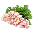 A generous armful of pale blush roses is arranged in a flowing fan over a pure white background, each stem angled so that the blooms cluster densely yet remain individually distinct. There are roughly 24 roses, all fresh-cut and long-stemmed, their heads forming a soft, undulating line of pastel colour. The petals appear velvety and full, layered in gentle spirals that move from a muted ballerina pink at the centre to faint touches of cream and antique rose at the edges. Some flowers are still in bud, their petals wrapped tightly, while others open more fully, revealing the depth of tone and delicate shading that gives the bouquet its painterly, watercolour effect. Rich, glossy green leaves and sturdy stems extend from beneath the blossoms, creating a deep, natural backdrop that makes the soft tones of the petals seem to glow. The overall light is bright but tender, like a quiet midday moment on a calm street off Finchley Road, where the bustle of North West London softens for a while. The arrangement feels serene and composed, ideal for sympathy flowers sent to a family home or service in Golders Green, where a gentle expression of care is needed most. As you imagine these roses in a vase-perhaps on a sideboard in a sitting room, perhaps beside framed photographs-the bouquet becomes more than an image; it is a visual embrace, quietly offering solace, remembrance, and a reminder that love remains present even in farewell.