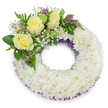 A serene circular funeral wreath set against a pure white backdrop, meticulously formed from a dense mass of small, pristine white chrysanthemums whose ruffled petals create a soft, cloud-like ring. The wreath measures roughly the size you would expect for a memorial tribute and holds a calm, reassuring presence; soft, even studio light picks out the layered texture of each chrysanthemum head and casts a faint, natural shadow beneath the circle. Along both the inner and outer edges a delicate, pale purple netting or ribbon peeks through the white blooms, lending a discreet border of colour and subtle depth. At the upper-left curve a composed spray of accent blooms rests gently on the chrysanthemum bed: three creamy yellow roses open in gentle spirals, their velvety petals suggesting warmth and friendship. Around the roses, clouds of tiny white baby's breath (gypsophila) float like breath, while sprigs of small lavender-purple statice or limonium give a soft, cool contrast. A variety of green foliage - broad glossy leaves and feathery, fern-like fronds - frames the cluster, adding fresh, verdant texture that highlights the pale tones. The overall palette of pure white, soft butter-yellow, muted purple, and deep green reads as respectful and calming, a thoughtful design intended for a funeral or memorial service. As a local florist, I picture this piece placed with quiet dignity in a chapel near Golders Hill Park or beside a hearse on Finchley Road, offering a comforting, handcrafted expression of remembrance to families across Golders Green.