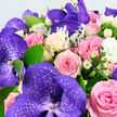 In this detailed close-up, the bouquet feels almost within reach, as though resting on a polished table in a Golders Green townhouse, its colours and textures inviting you to lean in. Large purple Vanda orchids form the dramatic focal points, their petals broad, velvety, and patterned with darker violet veining that resembles a fine, netted mosaic. They are surrounded by a sumptuous gathering of roses in coordinated shades: some are soft blush pink, others a slightly deeper medium pink, while several glow in creamy white and pale buttery yellow, their petals layered in tight, classical spirals that promise long-lasting beauty. Between these larger blooms, clusters of round, waxy white Hypericum berries nestle like strings of tiny pearls, adding a modern, sculptural feel. Small white filler flowers-likely button chrysanthemums or miniature carnations-scatter through the arrangement, contributing a light, fluffy texture and brightening the overall palette. The foliage provides both structure and contrast: smooth, fresh green leaves cup and frame the blossoms, while feathery, silver-toned leaves reminiscent of Dusty Miller lend a cool, mist-softened edge, evoking the calm of nearby Golders Hill Park on a cloudy morning. The bouquet fills the frame against a soft white background, so each bloom and leaf is clearly visible, the interplay of purples, pinks, creams, and greens creating a sense of elegant harmony. The feeling is one of refined celebration and heartfelt sentiment, an arrangement ideal for anniversaries, milestone birthdays, or a meaningful same-day delivery to someone special in the Golders Green area.