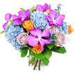 A sumptuous hand-tied bouquet is captured against a bright white background, its colours and textures unfolding slowly to the eye like a story told by a trusted Golders Green florist. At the focal point are bold Vanda orchids, their petals rich in fuchsia and deep magenta, dusted with fine white speckles that create an intricate, almost checkered pattern. These distinctive blooms are woven gracefully throughout the arrangement, adding a sense of luxury and artistry that would feel at home at a special celebration near Brent Cross. Cradled around them sit generous heads of soft sky-blue hydrangeas, each one comprised of countless miniature florets clustered tightly together. The hydrangeas form a full, rounded cushion at the heart of the bouquet, their cool tones evoking serenity and making the brighter colours above them glow more vividly. Nestled among the blue clouds are roses in two charming palettes: sunny orange roses, their petals beginning to unfurl in tight spirals that hint at energy and joy, and gentle lavender-mauve roses, whose muted, powdery tones bring a whisper of romance. Slim stems of deeper blue accent flowers, reminiscent of delphiniums, stretch upward among the larger blooms, adding hints of drama and natural, garden-like movement, as if gathered from a walk between Golders Green and Hampstead. The whole bouquet is framed by broad, glossy green leaves that add structure, shine, and a sense of lushness to the design. At the bottom, the clean-cut stems are visible, neatly gathered and bound, forming a compact, domed silhouette that rests easily in the hand. The overall impression is one of refined exuberance, ideal for congratulating someone on a new beginning or brightening a home with a touch of sophisticated colour anywhere in Golders Green.