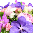 A rich and elaborate pink and purple bouquet fills the frame against a spotless white background, its colours and forms arranged with the artistry of a seasoned Golders Green florist. Dominant in the composition are several lush Vanda orchids in luxurious tones of lavender and deep violet, their wide petals patterned with fine, netted veining that looks almost like hand-drawn filigree, giving the bouquet an unmistakably modern, high-end character. Curving around these statement orchids, full, rounded peonies bloom in soft shades of pink, from the gentlest ballet pink to a more saturated blush, each layered petal catching the light and hinting at a velvety, cushion-like texture. Interlaced with the peonies are pink roses, some still shy and compact in bud form, others more open and relaxed in a classic light-pink hue, suggesting intimacy, affection, and enduring romance. Punctuating the design are crisp white, small pom-pom chrysanthemums or similar spiky-headed blossoms, their bright, clean petals adding both lightness and a cheerful contrast to the deeper colours. The whole arrangement is supported by a generous halo of glossy green foliage-deep green leaves mixed with a few variegated stems, their lighter edges adding depth and a sense of movement, like leaves rustling in the gardens near Golders Hill Park. The bouquet is tightly gathered and lush, appearing full and overflowing with blooms, yet still carefully structured. Bathed in even, soft light, every detail is clarified, from the subtle sheen on the orchid petals to the feathery edges of the chrysanthemums. The overall impression is one of refined celebration and heartfelt emotion, ideal for marking anniversaries, romantic milestones, or thoughtful congratulations delivered across Golders Green and nearby Hampstead.