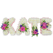 A gently luminous standing tribute spells the name KATE in four upright, three-dimensional letters crafted from a plush carpet of pristine white chrysanthemums. Against a bright white background the soft petals read like snow, their feathery texture inviting the eye and suggesting a quiet, consoling hush. Each letter is traced with a narrow, light pink satin ribbon that catches the soft studio light and gives a discreet blush around the edges and inner counters, as if the letters are haloed with tenderness. Clusters of colour punctuate the white: velvety fuchsia-pink roses and smaller pastel pink spray roses gather in deliberately placed groups - a bold cluster on the diagonal stroke of the K, a rounded spray at the bottom right of the A, a modest gather near the base of the T, and twin groupings on the middle bar and lower arm of the E. Deep purple or blue accent blooms, likely statice or petite lisianthus, thread through those clusters and lift the palette toward duskier tones, while delicate fern fronds and smooth eucalyptus leaves frame each bouquet, adding depth and a cool green counterpoint. The scent is understated-soft rose perfume over a clean, leafy undertone-evoking a composed reverence suitable for a funeral service or celebration of life. As a local touch, this style is one Golders Green families often request for wakes near Golders Hill Park or for services in the area surrounding Golders Green Road; its craftsmanship reflects the considered hand of an experienced florist attentive to both form and feeling.
