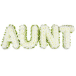 A simple white background frames a beautifully composed funeral tribute, where the word AUNT is shaped entirely from delicate white flowers. Each letter is carefully formed from dense clusters of white chrysanthemums, their rounded blooms pressed close together so that they create a thick, cushion-like panel of petals. The texture looks soft and velvety, as if you could brush your fingertips across the surface and feel the cool freshness of recently cut flowers. The whiteness of the chrysanthemums is clean and bright, suggesting purity, peace and a gentle farewell. Running around the outer edge of each letter is a graceful border of green foliage or ribbon, the fresh green tone outlining every curve and straight line. This surround provides a subtle yet effective contrast, making each character stand out clearly and adding a quiet touch of natural colour, reminiscent of the leafy streets and gardens around Golders Green and nearby Hampstead Heath. The design is balanced and evenly spaced, so that the word AUNT is instantly readable, carrying a direct, heartfelt message without any excess. The lighting in the image is soft and even, with no harsh shadows, which helps maintain a tranquil, contemplative mood. It is easy to imagine this tribute positioned beside a coffin or urn, or resting amongst other sympathy flowers during a service, where it would speak on behalf of family members who wish to honour a beloved aunt with dignity, gratitude and lasting affection, expressed gently through petals rather than spoken words.