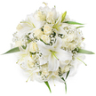 Seen from a top-down, overhead view on a pure white background, this perfectly round bouquet reads as an exercise in calm and clarity. Large, trumpet-shaped white lilies form the focal points, their broad petals curving outward to reveal pale green stamens and the faintest suggestion of warmer tones at their throats. Between the lilies sit clusters of creamy ivory roses, most held as tight buds or half-open cups so their velvety petals layer into soft, concentric spirals. Fine sprays of white baby's breath nestle into the gaps like drifting, delicate cloud, giving the composition an airy, frothy texture that lightens the dense form. A few glossy green leaves peek from beneath the blooms at the bouquet's perimeter, their fresh, cool green offering a quiet contrast against the monochrome blossoms. The lighting is soft and even, emphasising the satin sheen of petals and the subtle shadows that lend depth to the round shape.

As a local florist's creation, the bouquet carries a gentle perfume - the sweet, green fragrance of lilies warmed by the heady, romantic scent of cream roses - a scent that evokes early-morning markets on Golders Green Road or a calm walk through Golders Hill Park. Its neat symmetry and pristine white palette make it a natural choice for a bridal posy, a refined centerpiece for an intimate celebration, or a comforting arrangement for moments of remembrance. The craftsmanship shows in the balanced spacing of each bloom and the secure, tidy finish; it reads both classic and contemporary, a little generous with texture yet spare in colour, designed to communicate purity, affection, and quiet dignity to anyone who receives it.