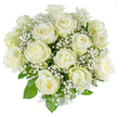 This image shows an expertly composed bouquet of roughly two dozen pure white roses, each bloom arranged into a dense, rounded dome and captured against a brilliant white backdrop that amplifies their immaculate colour. The roses read as a study in subtle contrast: inner petals hold a creamy, almost ivory warmth while the outer petals open to a crisp, clean white, their classic spiral centers visible and unmarred. Interwoven through the cluster are delicate sprays of baby's breath (Gypsophila), tiny star-like blossoms that float like a soft mist around and between the roses, lending an airy, lace-like texture that offsets the roses' velvety weight. Deep, glossy green foliage peeks from beneath and between the blooms, providing gentle framing and a visual anchor that heightens the sense of freshness. The arrangement's silhouette is compact and full, designed to sit as a tranquil focal point on an altar, as a refined bridal posy, or as a sympathetic tribute; its palette and form radiate calm, dignity, and new beginnings. There is an implied cool, early-morning light in the photograph that softens shadows and lets the petals' subtle translucence come through, while the faint, clean scent of rose and the whisper of baby's breath can almost be imagined. As a local florist's piece suited to Golders Green's understated, timeless moments-be it a small synagogue gathering, a christening at a nearby community hall, or an intimate wedding rehearsal-this bouquet speaks quietly and with confidence about purity, remembrance, and the gentle comfort of white flowers.