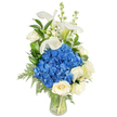 A tall, serene bouquet stands in a clear, gently tapered glass vase against a pure white backdrop, its cool palette and soft textures conveying calm and refinement. At the heart of the design sits a dense globe of royal blue hydrangea, each cluster of ruffled petals seeming almost velvety and cool to the touch, forming a deep, tranquil focal point. Nestled around and beneath this blue mass are creamy white roses, their layered, satin-like petals unfurling in soft spirals that catch the light and lend a classic, comforting warmth. Above and threading through the center, pristine white calla lilies rise with sculptural grace - trumpet-shaped and smooth, their subtle pale green throats visible at the base, adding a vertical elegance. Interspersed among the main blooms are slender spires of white snapdragons or stock, tiny blossoms stacked along straight stems that introduce a whimsical, upward motion. Throughout the arrangement, glossy dark-green leaves (salal or lemon leaf) and feathery light-green fern fronds drape and frame the flowers, giving natural depth and a garden-picked freshness; some fronds cascade gently toward the vase's rim, softening the silhouette. The stems are neatly visible through the clear water in the vase, underscoring the bouquet's freshness and careful craftsmanship. Bathed in soft, neutral lighting, this composition reads as tranquil and dignified - a fitting choice for sympathy or remembrance, a refined anniversary or birthday present, or a quiet centerpiece for a reception in a Golders Green home. The overall impression is one of elegance, comfort, and understated luxury, presented with the restraint of a seasoned florist.