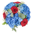 A vibrant, round bouquet photographed straight down on a clean white background, the composition tight and sculpted to show every petal and leaf. The foundation is a plush cushion of blue hydrangeas, their clustered florets ranging from pale sky blue at the edges to deeper sapphire tones toward the centre, creating a soft, cloud-like volume. Nestled into that blue sea are several prominent deep red roses, their velvety petals spiralling inward in tight, elegant whorls that act as vivid focal points against the cool hydrangea field. Sprays of tiny white baby's breath are dotted throughout like small, luminous stars, lending a delicate, airy texture that lightens the dense blooms. Muted green eucalyptus leaves with soft, rounded shapes, together with a few sharper, glossier green leaves, are artfully placed to add contrast, natural lines, and a grounding silvery tone. The bouquet reads as both celebratory and composed; the classic red, white, and blue pairing suggests remembrance, civic pride, or a refined summer gathering, while the scent carries the soft, familiar perfume of roses touched by a faint, cooling eucalyptus note. The lighting is even and daylight-soft, enhancing petal translucency and the tactile sheen of the blooms without dramatic shadow. As a local arrangement you could imagine it centered on a table at a community brunch near Golders Hill Park or given as a thoughtful tribute after a service at a nearby place of remembrance. The overall feeling is skillful, heartfelt, and quietly festive, the work of a florist who balances colour, texture, and emotion with confidence.
