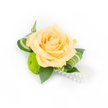 A delicate boutonniere captured against a pristine white backdrop, centred on a single peach-hued rose whose many soft, layered petals open with the gentle warmth of apricot and champagne. The rose's innermost folds hold a slightly deeper tone, suggesting fullness and freshness, while a bright lime-green button chrysanthemum nestles beneath and to the left, its compact, cushion-like florets introducing lively texture and a spring-fresh pop of colour. Deep green ruscus leaves form a steady, glossy base that grounds the composition, and slender variegated leaves, curled with pale stripes, frame the bloom with graceful movement and modern structure. From the lower right, a strand of lustrous white faux pearls trails in a soft cascade, catching the bright studio light and lending a subtle vintage elegance without overpowering the floral centre. The lighting is crisp and even, allowing the delicate peach tones and vivid chartreuse of the chrysanthemum to read clearly while preserving the shadows in the leaves for depth. As a florist describing this piece, I note the contrast of velvety rose petals against the slightly bristled chrysanthemum and the smooth hardness of the pearls - a tactile trio that suggests both celebration and quiet refinement. The overall impression is one of calm joy and tasteful restraint, suitable for a bridegroom's boutonniere, a prom corsage, or any formal accessory where fresh, understated beauty is desired. Small enough to pin with confidence yet artful in its detail, this arrangement would sit comfortably beside the polished tailoring and soft fabrics of celebratory attire, evoking the kind of personal, handcrafted work you might expect from a Golders Green florist attentive to bridal and event styling.
