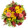 Seen from a gentle top-down vantage, this autumnal hand-tied bouquet unfurls like a warm memory of a woodland walk near Golders Hill Park. Bright, button chrysanthemums in sunny golden-yellow form a dense, cheerful ground, their tiny petals catching soft light and suggesting a dry, honeyed scent. Nestled into that glow are flat-faced gerbera daisies in deep burgundy, their darker centers adding drama and a visual drumbeat across the circular composition. Velvety roses in crimson and softer coral-pink and peach tones open in layered spirals, offering a tactile contrast of plush petals against the crisp resilience of the chrysanthemums. Reddish-brown, star-shaped alstroemeria fill the negative spaces with delicate veins and subtle freckling, while varied foliage - broad glossy greens and lighter variegated leaves edged with cream - frames the bouquet and keeps the palette fresh. Scattered among the blooms are a few maple-like, rusted autumn leaves, their edges curled slightly as if they'd been gathered from a tree-lined lane off Golders Green Road; they anchor the arrangement in the season and add a rustic note. The overall impression is one of abundant comfort, an embrace of late-afternoon light and lingering harvest spice. As a local florist might suggest, it suits Thanksgiving-style dining tables, intimate autumn weddings, or as a heartfelt delivery to a neighbour in Golders Green who could use a comforting, colourful uplift. Texturally rich and softly fragrant, this bouquet reads as both professional artistry and the kind of thoughtfully crafted gift you'd pass along to mark friendship, gratitude, or a cosy celebration.