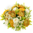 This image shows a richly textured autumn bouquet, isolated against a clean, bright white background so that every flower and leaf stands out clearly. At the centre, large chrysanthemums in golden yellow, deep amber, and burnished copper create a sense of warmth, their many layers of petals forming dense, full blooms that seem almost luminous. Intermixed with them are striking cockscomb-like chrysanthemums, whose rippled, velvety surfaces twist and fold in shades of mustard, ochre, and earthy brown, adding a sculptural quality and tactile depth. Between these bold flowers, several creamy white roses are carefully placed, their soft, spiralling petals offering a gentle, romantic contrast to the vivid autumn hues. Clusters of tiny white daisy-style blooms, likely feverfew or chamomile, nestle throughout the design, each with a bright yellow centre that brings a playful, meadowy spirit, like something gathered near the open green spaces around Golders Green and Hampstead Garden Suburb. Fine, airy stems of lime-green foliage-resembling solidago-weave in and out, their small buds and feathery texture injecting fresh energy and lightness that prevents the palette from feeling too heavy. The bouquet is densely arranged in a rounded shape, with flowers layered at varied heights, giving the impression of abundant, natural growth while still looking carefully crafted by an experienced local florist. The stark white background keeps all attention on the blooms, enhancing their colour contrasts and intricate forms. It's a bouquet that suggests cosy gatherings, heartfelt congratulations, or an elegant seasonal gift for someone special in Golders Green.