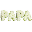 A tender and dignified sympathy tribute arranged as the word PAPA in bold uppercase letters, each letter crafted from dense clusters of pristine white spray chrysanthemums and soft creamy blooms that create a gently domed, cloud-like surface. The composition sits against a clean white background so the subtle nuances of texture and shadow are clear: the ruffled petals overlap like layered silk, the centre of each small flower casting delicate pinpoints of grey in soft studio light. Around each letter a pale lime-green ribbon or narrow foliage border has been pleated and tucked to form a wavy frame that gives crisp definition and a whisper of fresh colour, the green lifting the whites without overpowering them. Up close you can imagine the faint, comforting scent of chrysanthemums and the cool, slightly sapmy note of cut stems; the arrangement feels quiet, tactile, and composed with care. The four letters lie in a graceful horizontal line, balanced and even, the spaces between them measured to read like a name spoken slowly at a memorial service. As a local florist used to arranging tributes for services at Golders Green Crematorium and nearby chapels, I visualise this piece carried with reverence into a service or placed by a family member at a graveside. It is a floral language of calm, purity, and remembrance-white for peace, green for renewal-crafted to honour a beloved father, grandfather, or paternal figure and to offer a visible expression of love in a time of farewell.