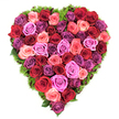 Seen from a quiet overhead angle, this heart-shaped tribute is a densely packed mosaic of fully opened roses, each bloom pressed gently against its neighbour to create a continuous, velvety surface that fills the silhouette edge to edge. The palette moves from deep crimson and wine-coloured burgundy through classic scarlet reds into a soft progression of blush and coral pinks, then arcs into bold fuchsia and magenta, finally folding into delicate lavenders and deeper plum tones-a painterly blend that feels both passionate and consoling. Each rose shows its layered, silky petals and slightly furled centre, the sort of pristine bloom that carries the faint, comforting perfume of freshly cut roses. Around the perimeter, a fine rim of dark green, mossy foliage-maidenhair-like fronds and springy greenery-softens the heart and offers a cool contrast to the warm petals, allowing the shape to read clearly against a clean white backdrop. The craftsmanship is meticulous: blooms are placed to maintain perfect symmetry and textural depth so the eye travels across subtle colour shifts and petal curves. The overall mood is tender and reverent, suitable to mark an anniversary, a romantic gesture on Valentine's Day, or a compassionate memorial at a funeral or graveside in the Golders Green area. In soft morning light the arrangement seems to glow, its satin petals catching faint highlights and the green edging whispering renewal, a tactile, scented emblem of devotion that a local florist would present with quiet care for families near Golders Hill Park or around the tube station.
