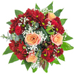 This radiant bouquet delivers a sense of warmth, sophistication, and heartfelt artistry-qualities cultivated in the heart of Golders Green. Spiraled apricot-peach roses take centre stage, their softly ruffled petals gently opening in harmony with ruby-red spray chrysanthemums and deep crimson roses. There's a tactile richness at play: glossy broad-leaf greenery encircles the flowers, while silvery eucalyptus leaves and meticulously folded dark foliage add dimension and striking visual contrast. Airy tufts of white baby's breath weave throughout, their softness reminiscent of clouds above Golders Hill Park after rain. The subtle gleam on petal and leaf reflects the natural light of North West London, bringing forward the vividness of every hue. Delicate seed pods and unusual buds add intrigue, catching the eye and hinting at the wild, textural variety foraged from local flower markets. The bouquet feels both celebratory and refined-perfect for marking life's milestones, from anniversaries to new beginnings, or simply brightening a home in Golders Green. A gentle infusion of floral and green scent lingers, evoking the freshness of a well-tended local garden. Every detail, from composition to fragrance, conveys the thoughtful touch of a devoted local florist and the unique character of the Golders Green community.