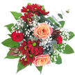 Cradling this opulent bouquet from Flowers Golders Green evokes the sensation of holding a lush garden blooming at its peak somewhere along the vibrant streets of Golders Green. At the centre, rich red and peach roses spiral open, their petals boasting hues from warm coral to delicate rose-pink. Brooding burgundy chrysanthemums with bold, lime-green hearts cluster nearby, infusing the arrangement with depth and drama, while a tenderly budded red rose nestles within, symbolising promise and affection. Ethereal clouds of white baby's breath weave delicately throughout, softening the intense shades with their feathery brilliance, much like early morning mist over Golders Hill Park. The base fans out with glossy green leaves and elegant eucalyptus, layering fresh emerald with whispers of silver. A uniquely shaped burgundy protea lends exotic appeal and subtle intrigue, completing the design. This arrangement radiates a welcoming charm and elegant sophistication, ideal for expressing deep emotions, brightening a celebration, or serving as a focal point for an intimate family gathering. Subtle rose and green scents mingle in the air, sparking memories of spring renewal and joyful afternoons shared with community. Every petal, stem, and detail reveals the dedication of a florist rooted in Golders Green, ensuring this bouquet brings not only lasting beauty but heartfelt meaning to those who behold it.
